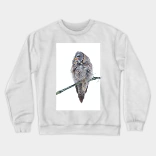 Just chillin - Great Grey Owl Crewneck Sweatshirt